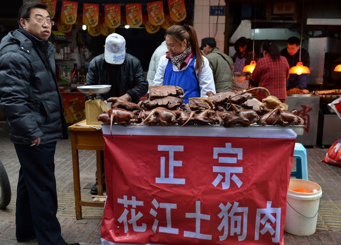 Cultura: Chineses como carne de cachorro, você comeria o seu melhor amigo?