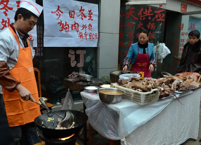 Cultura: Chineses como carne de cachorro, você comeria o seu melhor amigo?